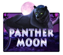 PANTHER MOON slotxo ฟรีเครดิต ไม่ต้องฝาก